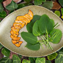 Root-to-Table Recipes: Creative Dishes with Root Veggies