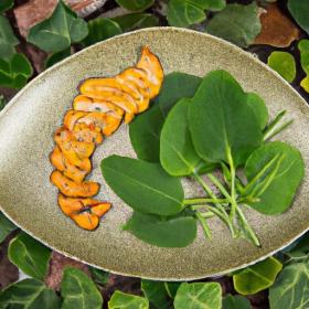 Root-to-Table Recipes: Creative Dishes with Root Veggies